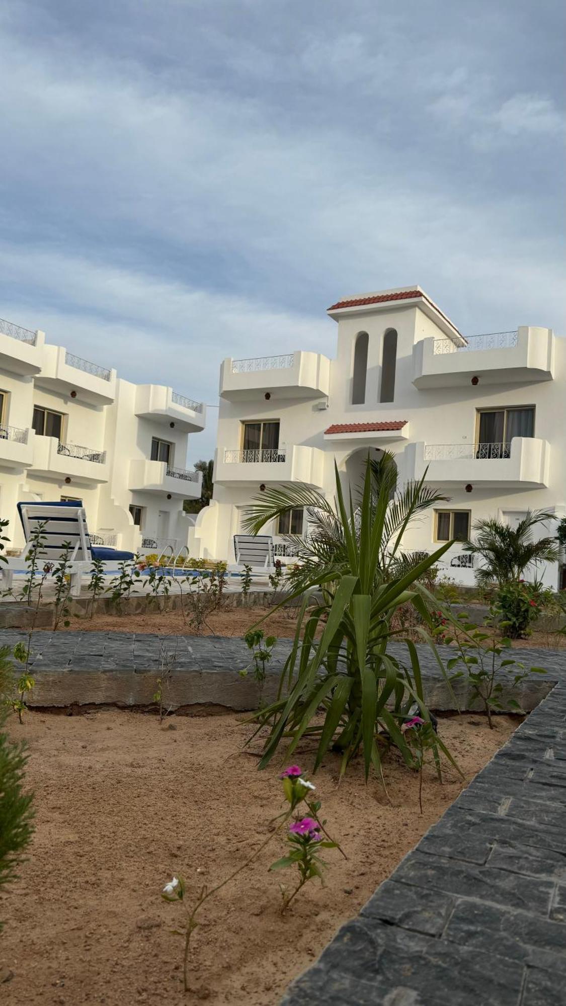 Desert Hotel Νταχάμπ Εξωτερικό φωτογραφία